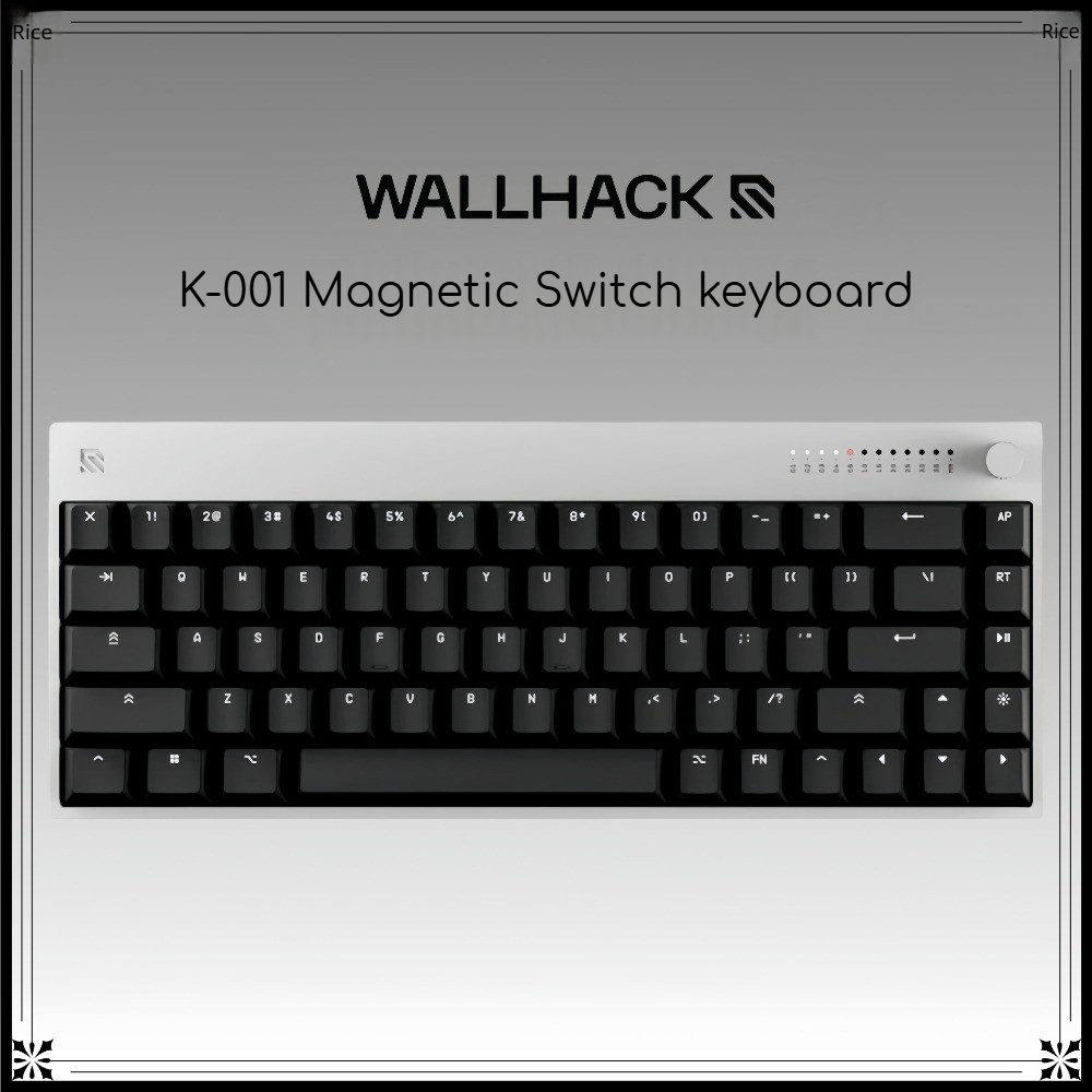 Gaming Keyboard Hall Effect Switches - Клавиатура WALLHACK K-001 с магнитными переключателями